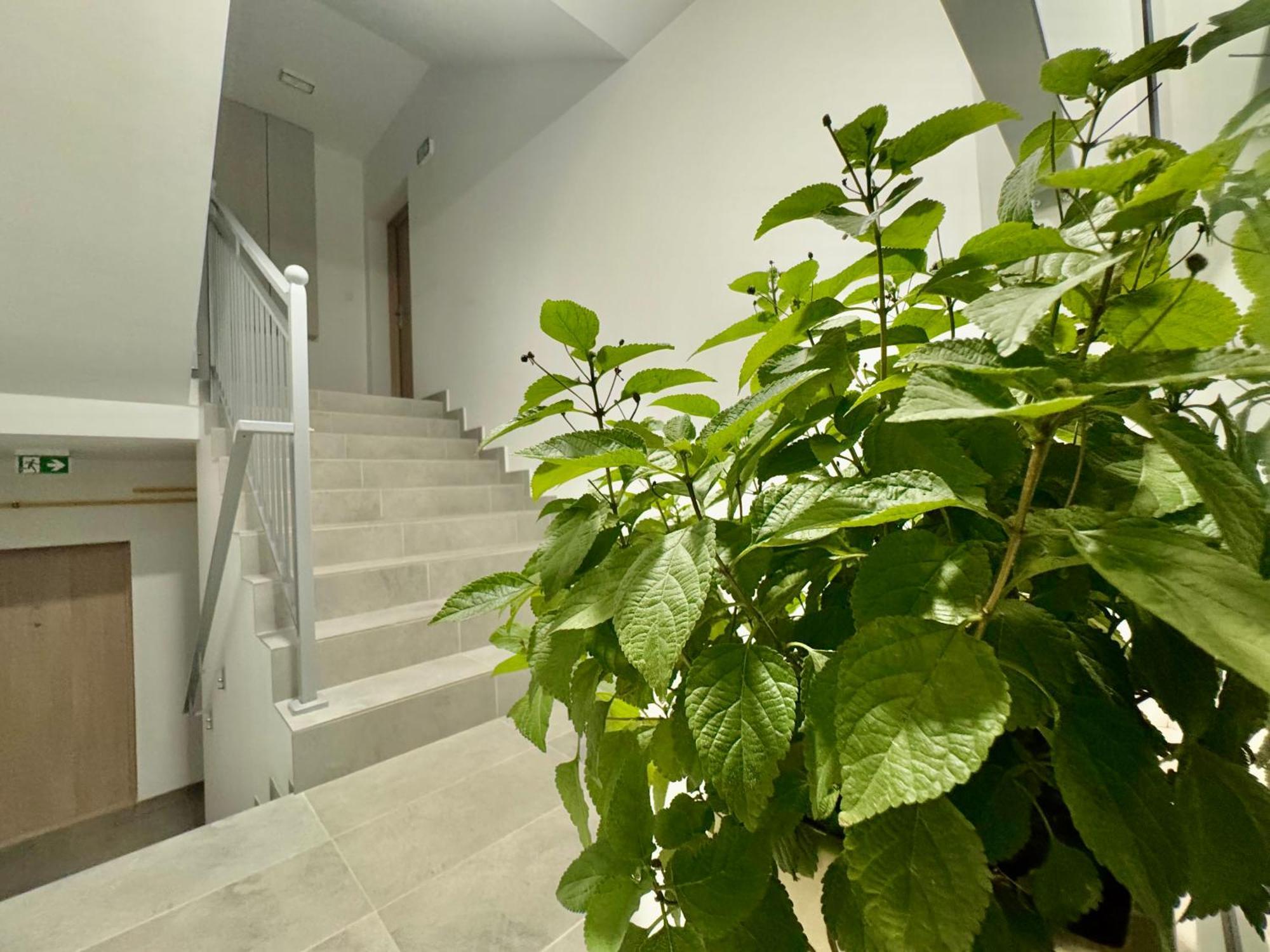 Apartament Olenka Busko-Zdroj Bagian luar foto